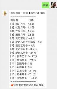 影视会员诚招代理官方直充-小飞模组网